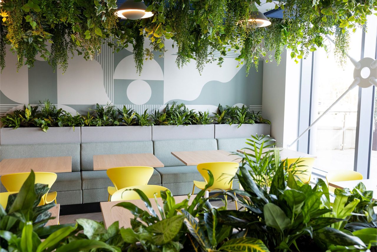 Plants 2 Plants 2