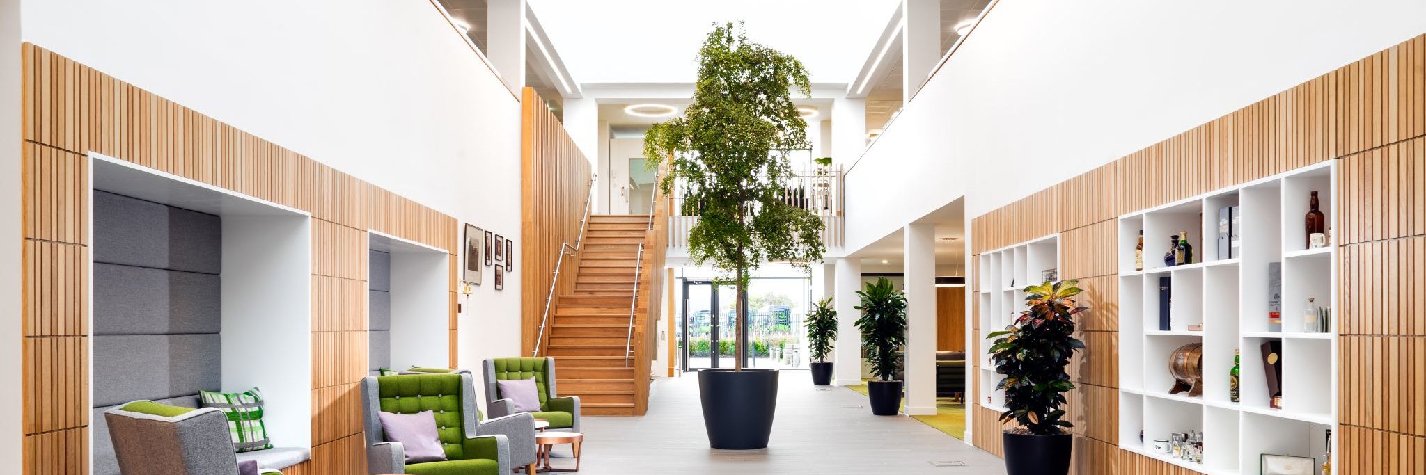 Aberdeen Office Furniture - Plants in Office Lobby Aberdeen Office Furniture - Plants in Office Lobby