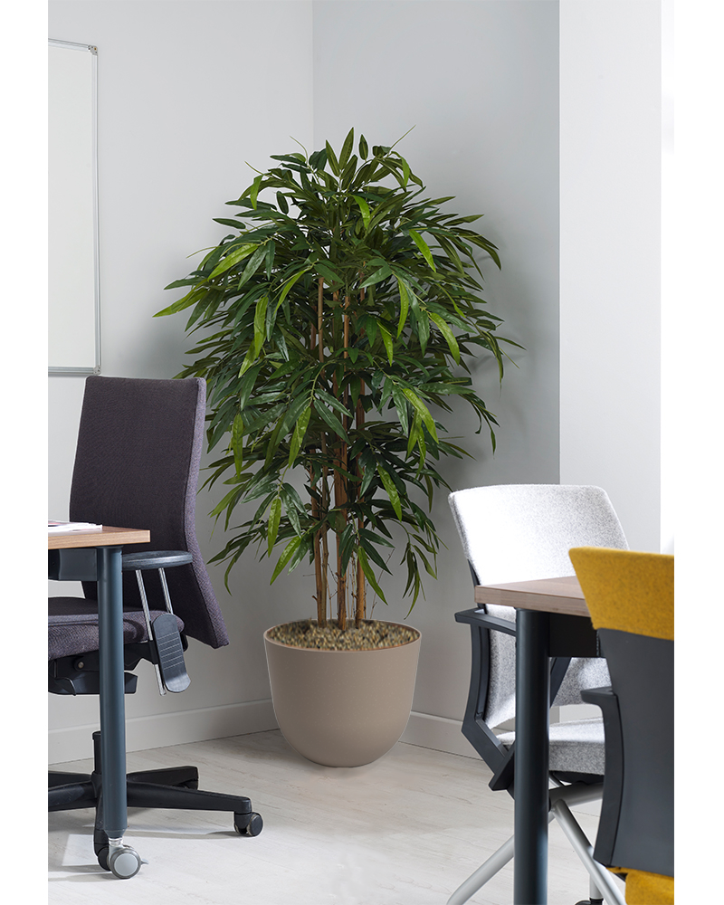 Prospect Plants 1 Prospect Plants 1