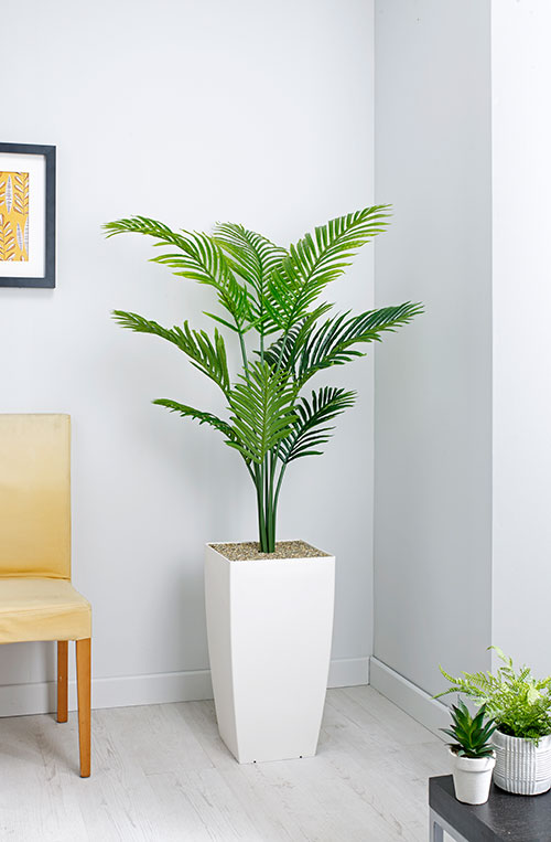 Prospect Plants 2 Prospect Plants 2